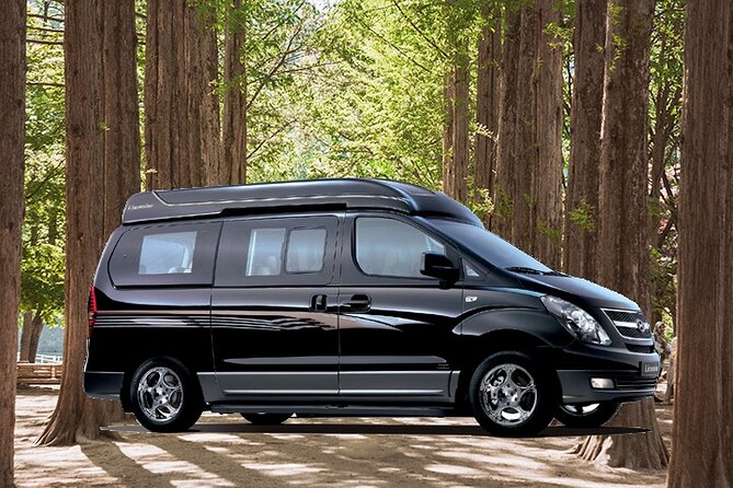 Private Van to Nami Island, Petite France & More (Up to 14 Pax) - What To Expect