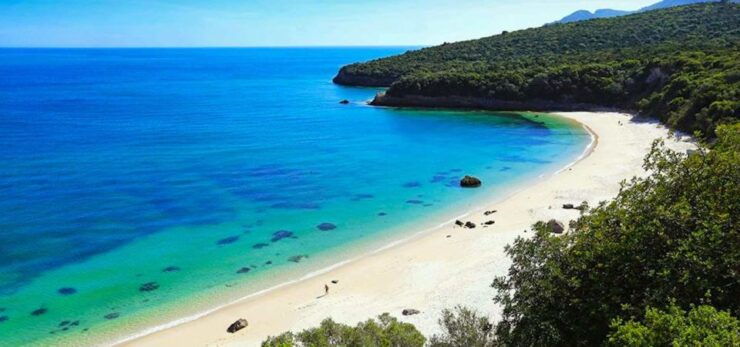 Private Van Tour Arrabida and Wine Tasting - Tour Activity Details