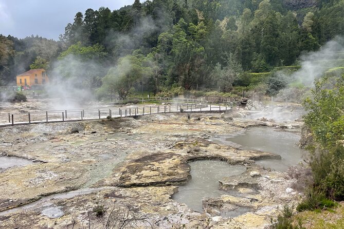 Private Van Tour to Furnas Vale, Gorreana Tea Factory - Tour Details