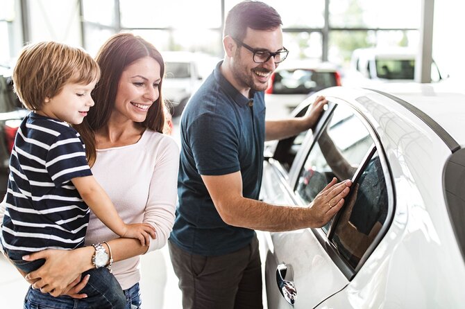 Private Vehicle Full Day With Driver In Dubai - Booking and Reservation Process