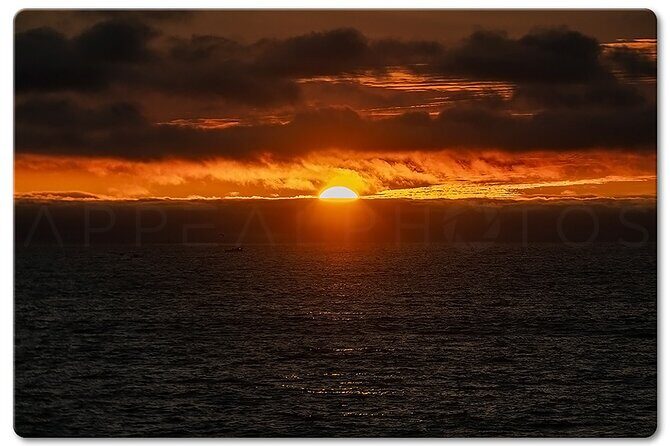 Private Venice Photographic Beach Walking Tour - Good To Know