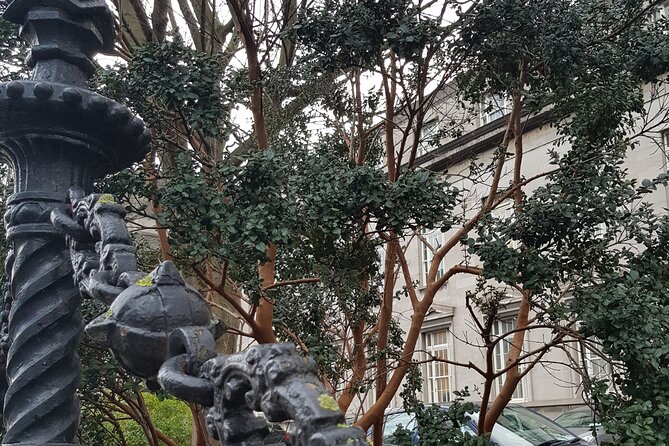 Private Victorian Architecture Walking Tour in Dublin - Cancellation Policy and Support