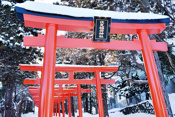 Private Video Tour in Park Symbolic of Sapporo - Logistics and Accessibility