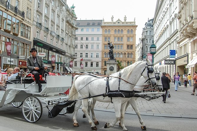 Private Vienna City Walking Tour And Tram Ride With Schonbrunn Palace Visit - Famous Sites: Sacher Café, Albertina Museum, Capuchin Church, Kärtnerstraße
