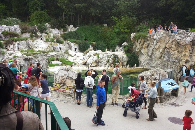 Private Vienna Sightseeing Tour Matching to Personal Interests - Start Time and Opening Hours