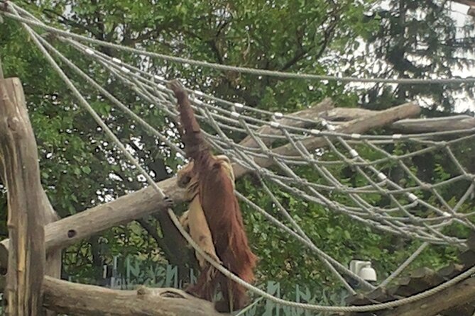 Private Vienna Sightseeing Tour Matching to Personal Interests - The Sum Up