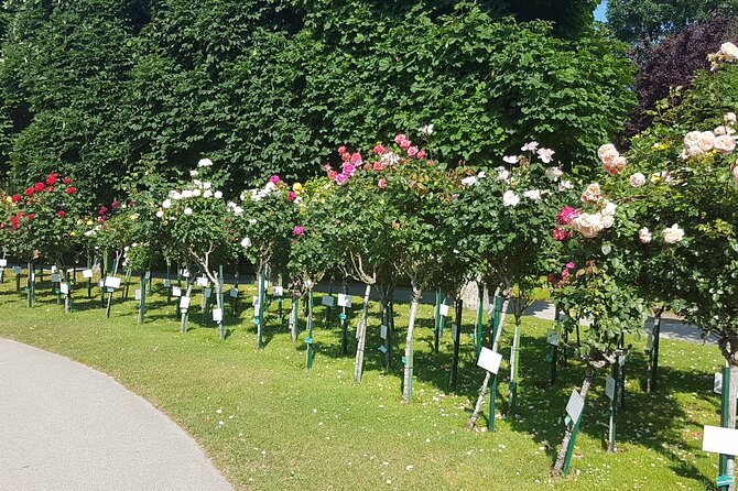 Private Vienna Sightseeing Tour Matching to Personal Interests - The Sum Up