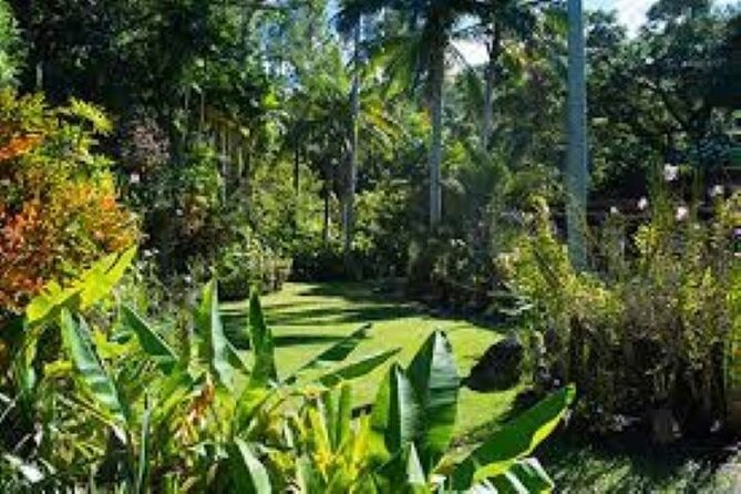 Private Village Tour, Sleeping Giant & Sabeto Mud Pool And Hot Spring - Pricing and Booking
