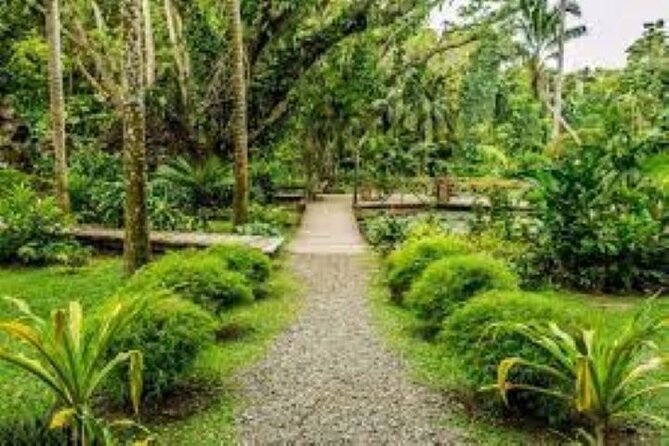 Private Village Tour, Sleeping Giant & Sabeto Mud Pool And Hot Spring - Tour Details