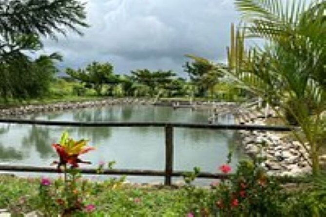 Private Village Tour, Sleeping Giant & Sabeto Mud Pool And Hot Spring - Reviews