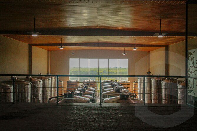 Private Vineyard and Wine Testing Tour From Guanajuato - Practical Tips for Booking and Enjoying the Tour