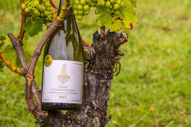 Private Vineyard Bush Walk Tour in Waiheke Island - Tour Details