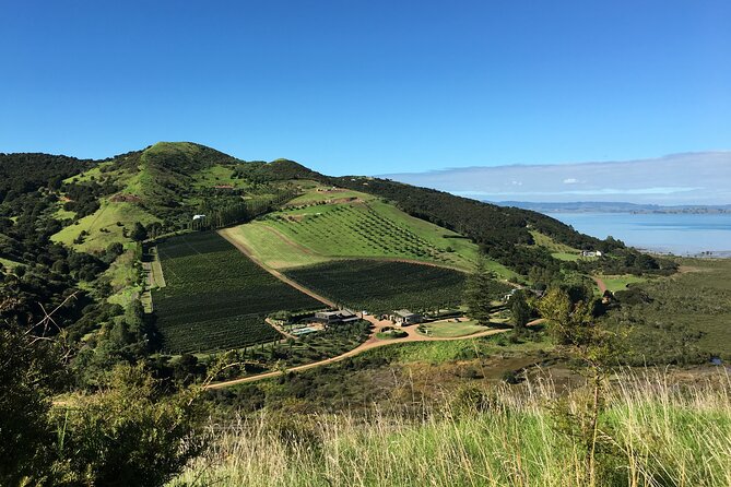 Private Vineyard Bush Walk Tour in Waiheke Island - Inclusions