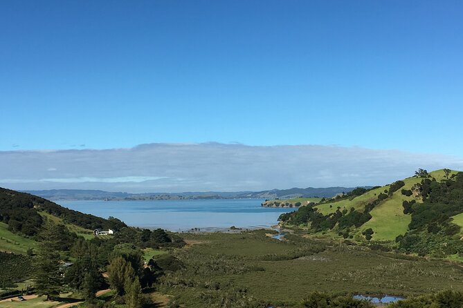 Private Vineyard Bush Walk Tour in Waiheke Island - Meeting and Pickup