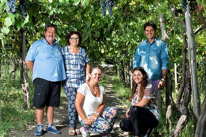 Private Vineyard Tour and Lunch With Dedicated Sommelier and Private Trasport - Questions and Help Center