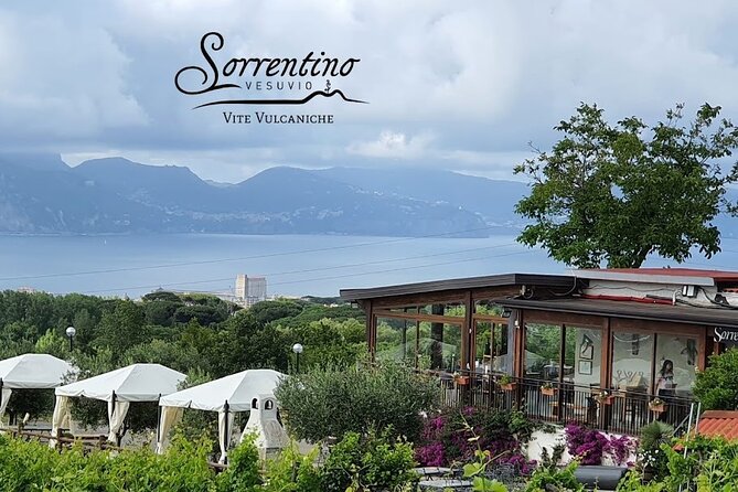 Private Vineyard Tour and Lunch With Dedicated Sommelier and Private Trasport - Pricing and Terms