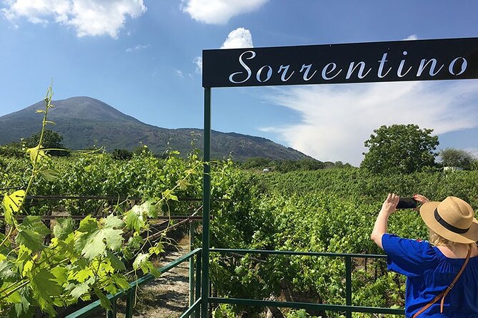 Private Vineyard Tour and Lunch With Dedicated Sommelier and Private Trasport - The Sum Up