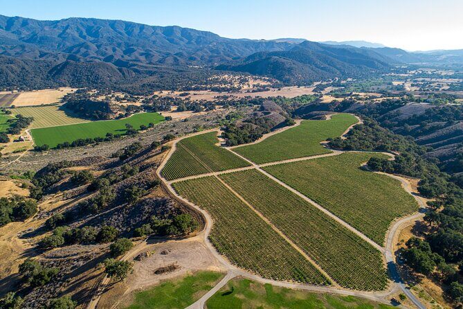 Private Vineyard Tour and Wine Tasting - An In-Depth Look at the Vineyard Tour and Tasting