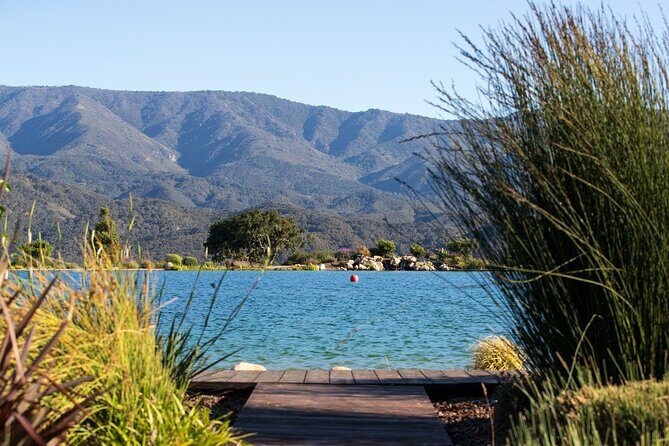 Private Vineyard Tour and Wine Tasting - Who is This Tour Perfect For?