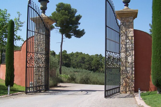 Private Vineyard Tour of Provence From Nice - Cancellation Policy