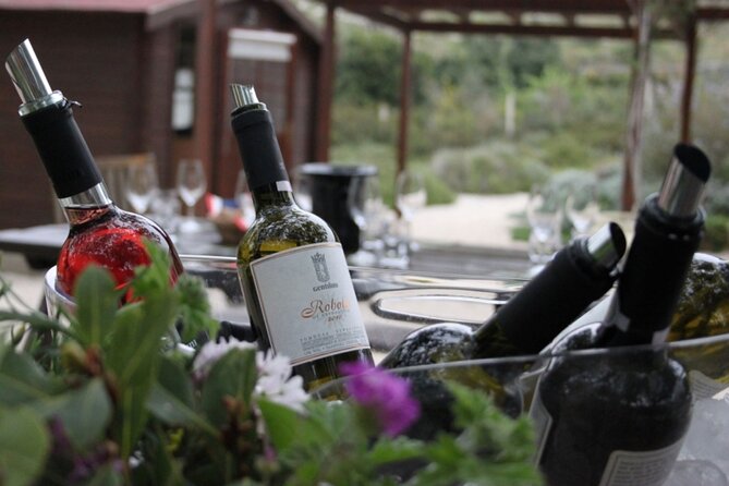 Private Vineyard Vistas and Culinary Delights - Culinary Delights