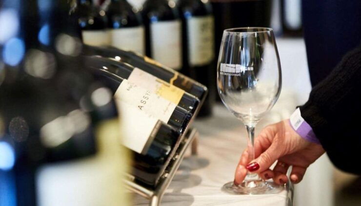 Private Vineyard Vistas & Culinary Delights - Insightful Guide and Wine Tasting Experience