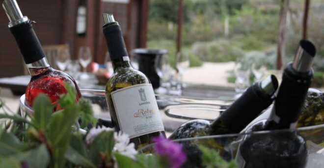 Private Vineyard Vistas & Culinary Delights - Dietary Accommodations for Allergies and Restrictions