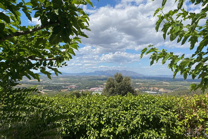 Private Vineyards and Villages Wine Tour With Lunch With Pickup From Barcelona - The Sum Up