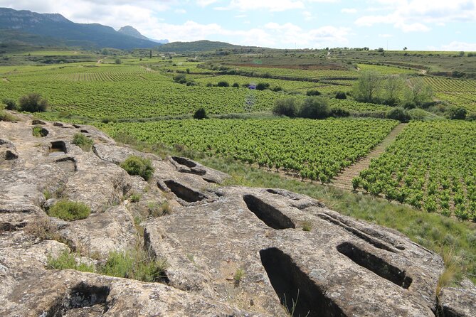 Private Vineyards Tour in San Vicente De La Sonsierra - Wine Tasting Experience