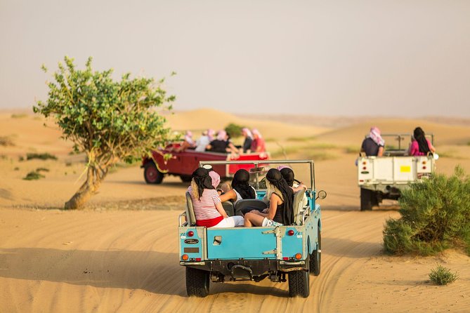 Private Vintage Land Rover Heritage Desert Safari- 4 Course Dinner & Activities - Private Guided Tour in Dubai Desert Conservation Reserve