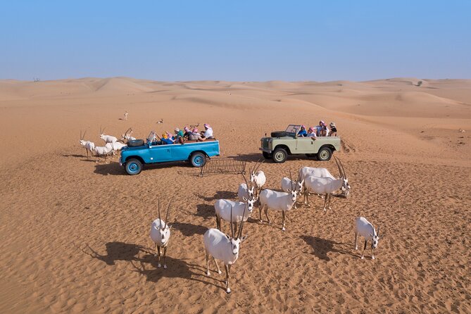 Private Vintage Land Rover Heritage Desert Safari- 4 Course Dinner & Activities - Exciting Activities and Entertainment
