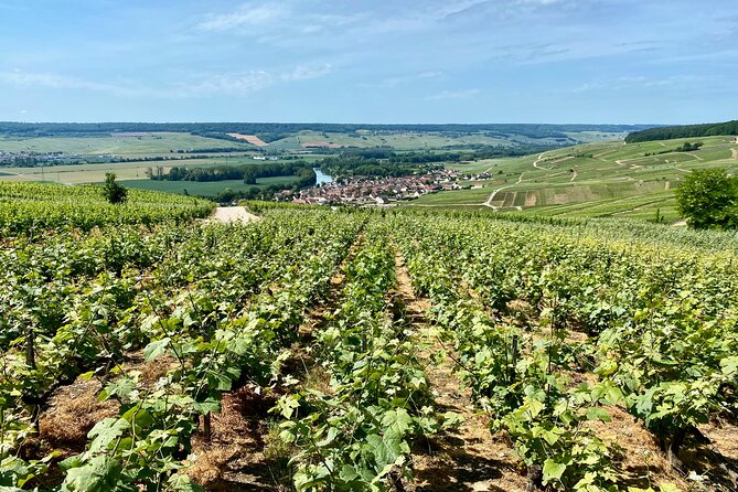 Private VIP Champagne Ruinart, Moet & Chandon Day Trip From Paris - Booking and Contact Information