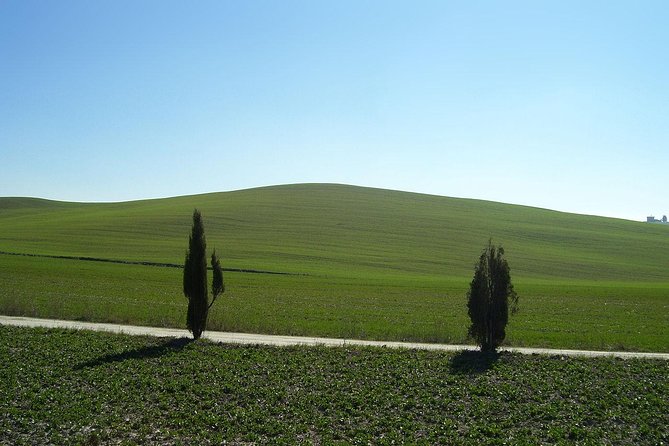 Private VIP Exclusive Tour to Siena and San Gimignano With Wine Tasting & Lunch - Traveler Feedback and Reviews