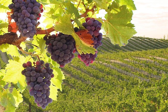 Private VIP Exclusive Tour to Siena and San Gimignano With Wine Tasting & Lunch - Additional Information