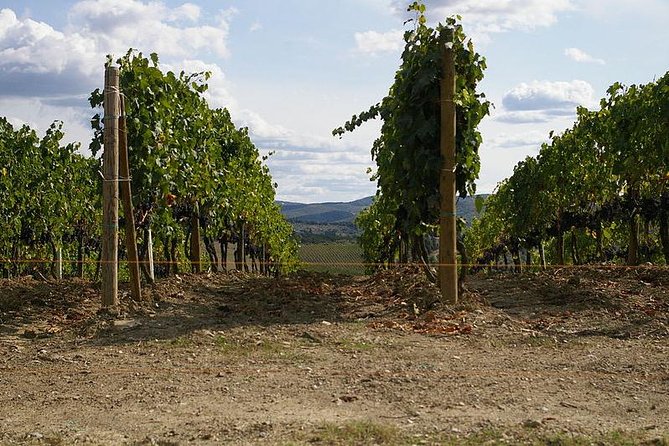 Private VIP Exclusive Tour to Siena and San Gimignano With Wine Tasting & Lunch - Pricing and Terms
