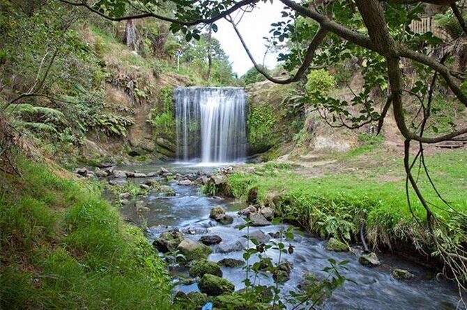 Private VIP Guided Auckland Waterfalls Tour - Exploring the Itinerary: What You Can Expect