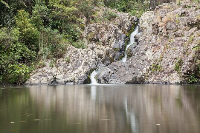 Private VIP Guided Auckland Waterfalls Tour - Who Will Love This Experience