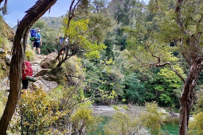 Private VIP Hawkes Bay Geothermal Hot Pools Hike - Final Thoughts: Who Would Love This?