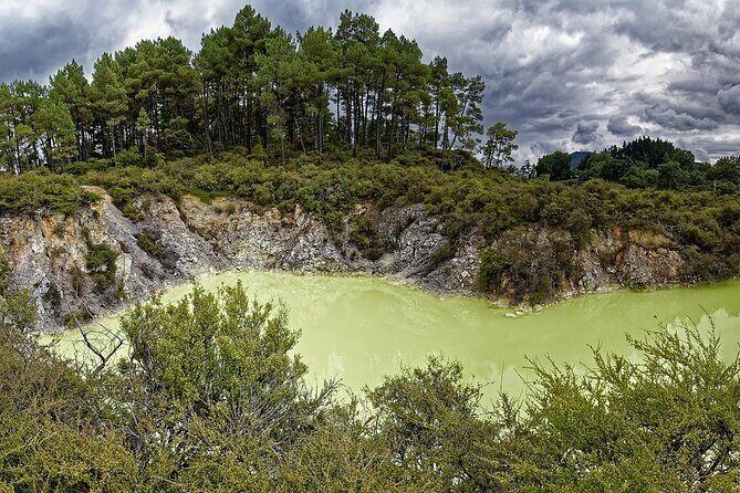 Private VIP Luxury Auckland-Rotorua Geothermal Wonderlands - Scenic Return to Auckland