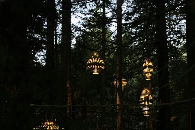 Private VIP Luxury Auckland-Rotorua Geothermal Wonderlands - Final Thoughts