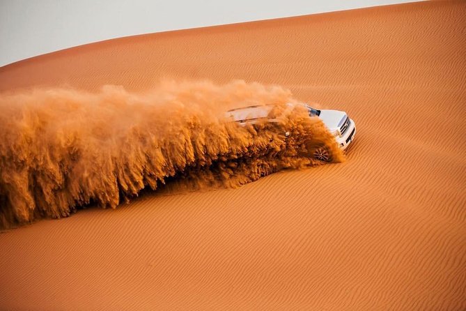 Private VIP Red Dune 4x4 Desert Safari With Camel Ride & Dinner - Professional and Knowledgeable Guides