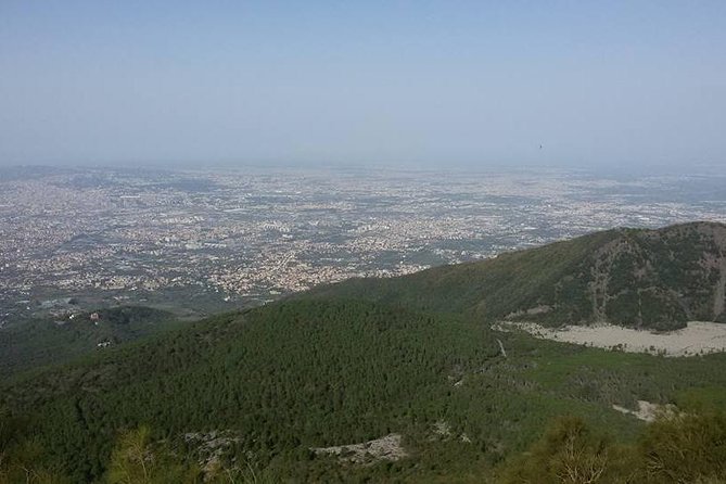 Private Vip Tour of Pompeii Day Trip From Rome - Reviews and Ratings