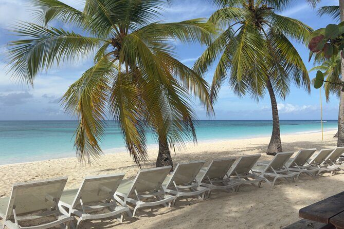 PRIVATE VIP tour Saona Island with Snorkeling, Starfish, Turtles - Is This Tour Worth It?