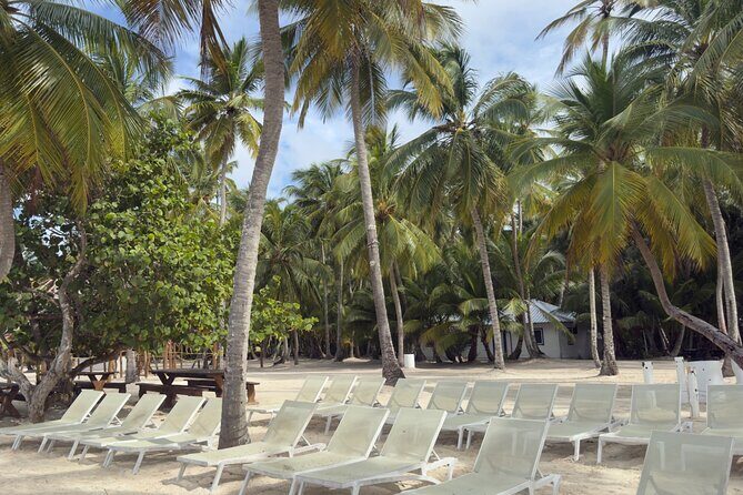 PRIVATE VIP tour Saona Island with Snorkeling, Starfish, Turtles - Who Will Love This Tour?