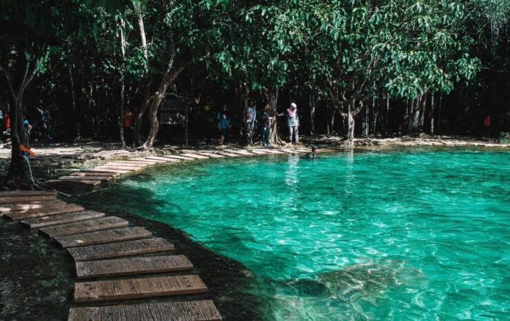 Private VIP Van Jungle Tour ( VIP ) - Itinerary Details