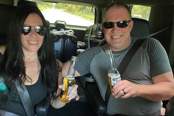 Private VIP VAN Transfer PUJ Airport to/from Punta Cana Hotels - How It Compares to Other Options