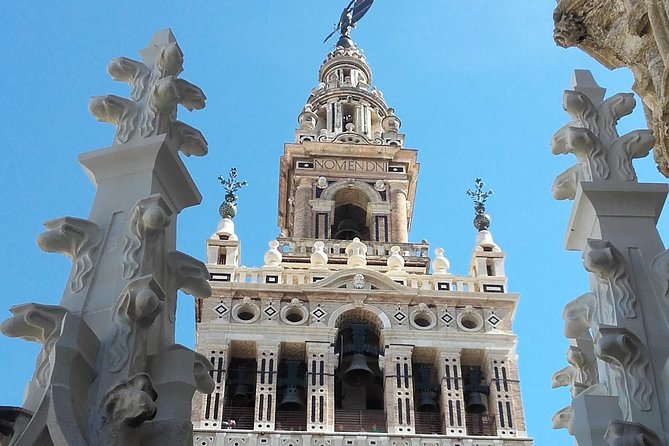 Private Visit Cathedral and Royal Alcazares of Seville - Pricing and Terms