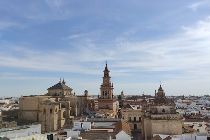 Private Visit to Carmona and Its Main Monuments - Explore the Alcazar De La Puerta De Sevilla