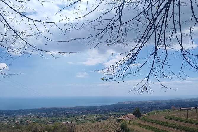 Private Visit to Mount Etna With Wine Tasting and Lunch - Scenic Photography