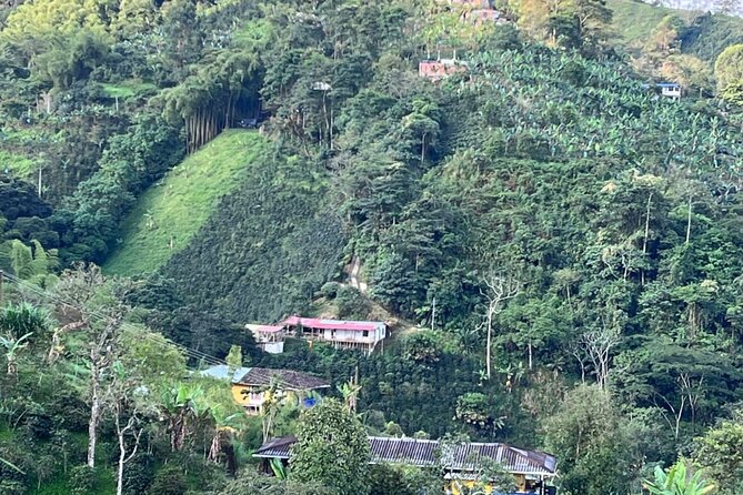 Private Visit to Organic and Craft Coffee Farm in Risaralda - Farm Location and Accessibility